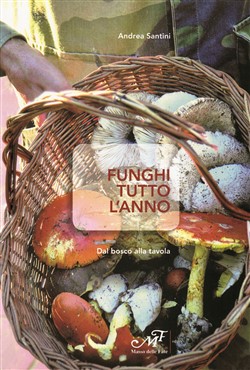 Funghi tutto l'anno