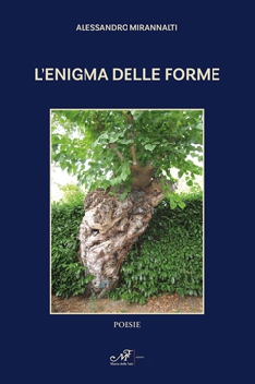 L'enigma delle forme