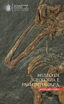 Museo di Geologia e Paleontologia